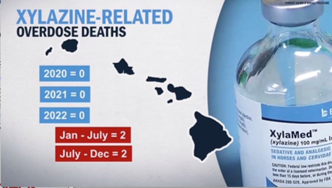 An Alarming Trend: Horse Tranquilizer Causes Multiple Deaths in Hawaii