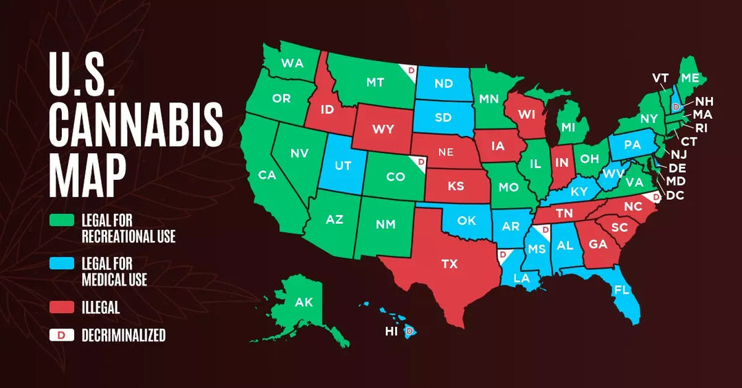 Study Finds Limited Impact of Cannabis Laws on Opioid Outcomes in the General Population