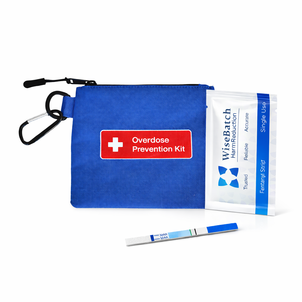 WiseBatch FYL Test Strip Kit (25 Pack) – Fast, Accurate & Simple Instructions for Detecting FYL