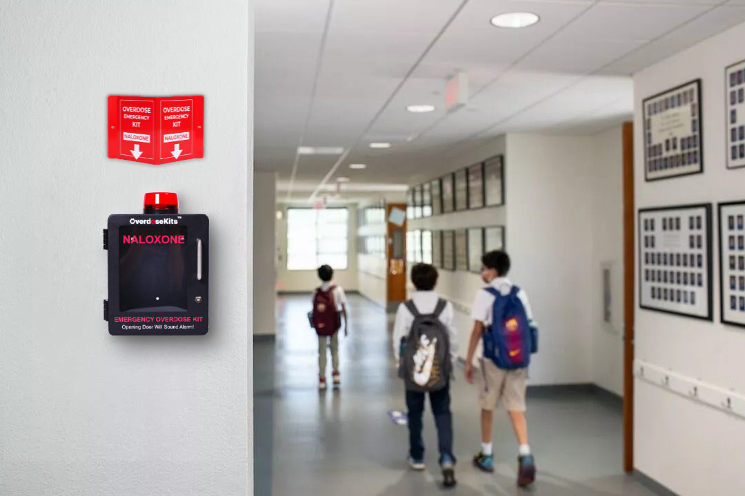 Overdose Emergency Kit Naloxone 3D Red Sign - Default Title -  4